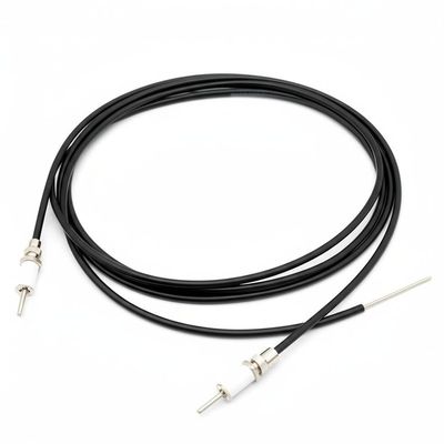 Probe de température de résistance en platine avec valeur B 5K à 100K et 2p 4p Terminals pour capteur de température de thermistors NTC